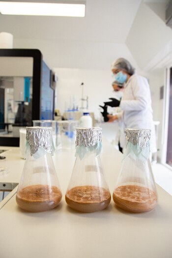 El estudio de la Universidad