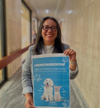 Un proyecto de ley, liderado