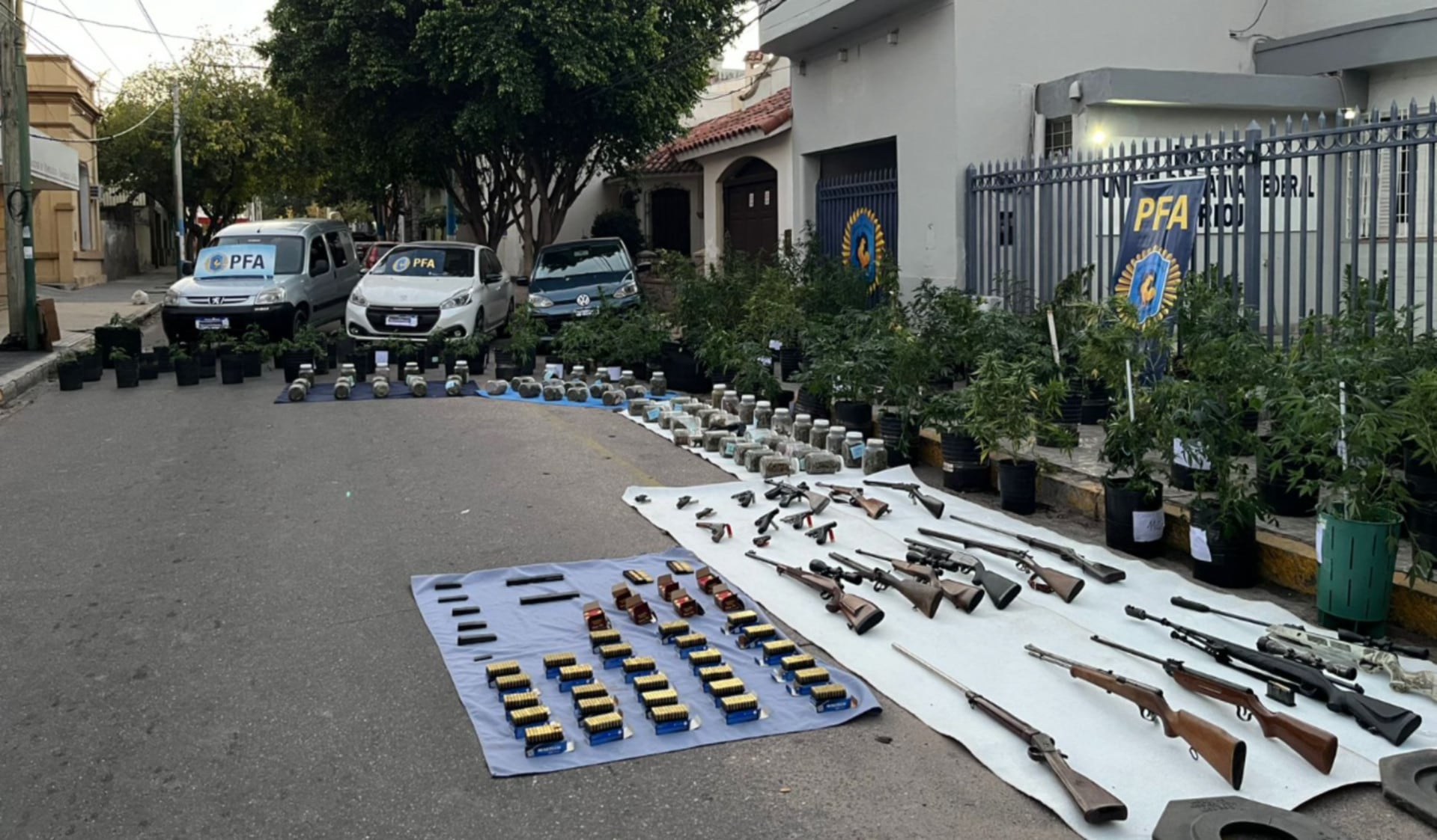 La Policía Federal Argentina desmanteló una organización narco en La Rioja, incautando un arsenal de armas, grandes cantidades de marihuana y múltiples plantas de cannabis (La Red 88.3)