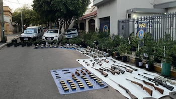 Desarticularon una banda narco cultivaba su marihuana en un campo de La Rioja