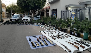Incautación policial con numerosas armas de fuego, municiones, drogas empaquetadas y plantas de cannabis en macetas, exhibidas sobre una calle frente a edificios