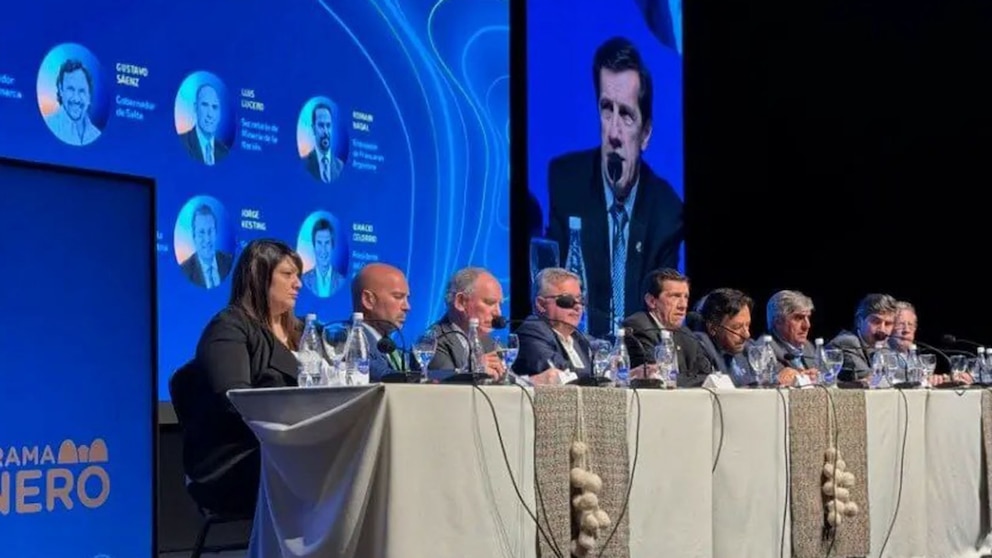 La batalla por el litio: desafíos para establecer un mercado en Argentina