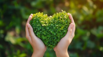 Compartir hábitos sostenibles fomenta acciones