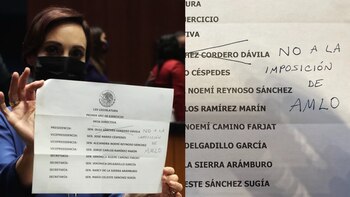 Lilly Téllez se manifestó contra