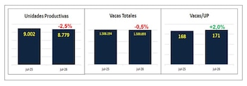Gráfico de caídas de los tambos