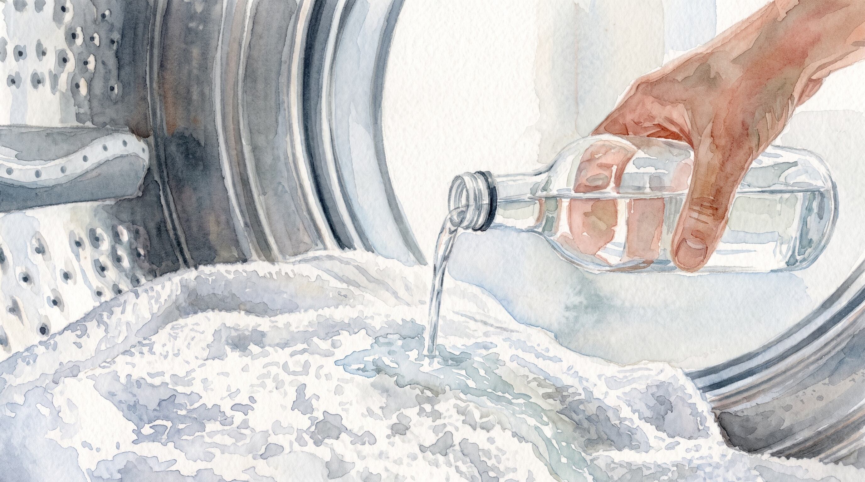 El tratamiento con vinagre se recomienda una vez al mes, no en cada lavado. (Imagen Ilustrativa Infobae)