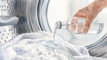 Una mano sostiene una botella de vidrio transparente y vierte un líquido sobre la ropa blanca dentro del tambor de una lavadora. Ilustración en acuarela.