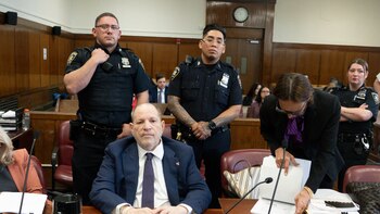 Polémica abogada de Harvey Weinstein