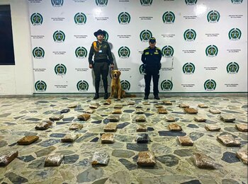 Gracias a "Jeffrey", se logró