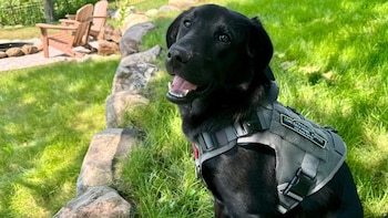 El objetivo del equipo es