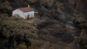 Extinguido el incendio de Niebla tras dos semanas de lucha contra el fuego y 33.000 hectáreas afectadas