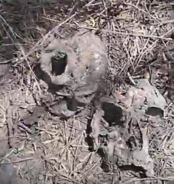 Así fueron encontrados algunos de los cráneos. Crédito: Facebook - Desaparecidos en Tamaulipas Colectivo Amor