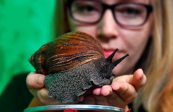 Fotografía de archivo que muestra