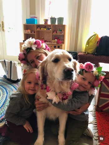 Gary, la querida golden retriever