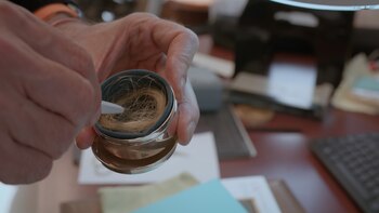 Imagen del mechón de pelo