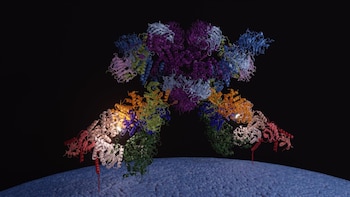 Un investigador del CNIO avanza