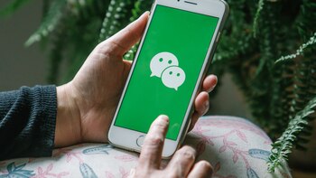 La cruzada quijotesca de Elon