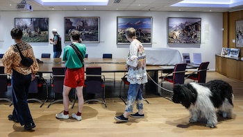 Cómo es el fantástico museo