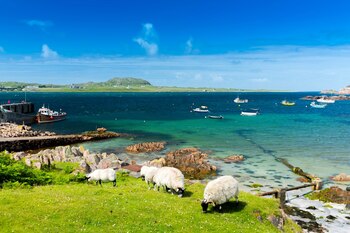 El nuevo esquema espera alentar