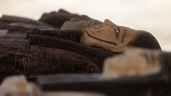 Un caballo, una estela real y un barrio de adobe reaparecen bajo las arenas de la fortaleza de Tell Al-Abqain, en Egipto