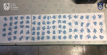 Los elementos la encontraron con