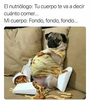 Foto: Clinica Veterinaria Maskoty /