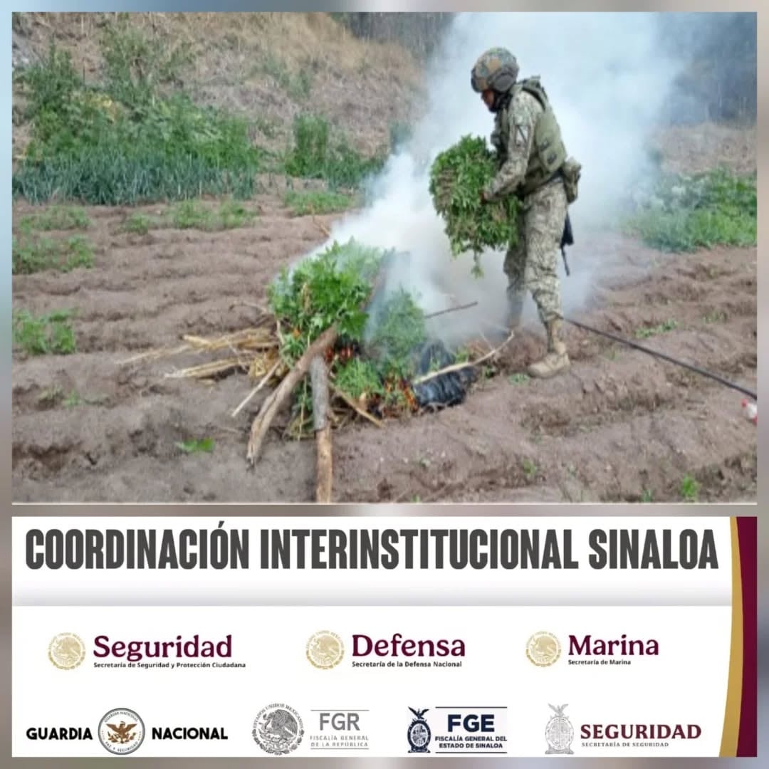 Más de 1,500 litros de sustancias químicas fueron incautados por autoridades federales y estatales durante la operación en Culiacán. (SSP Sinaloa)