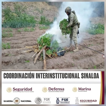 Más de 1,500 litros de