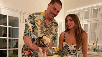 Divorcio de Sofía Vergara y