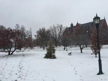 El campus de la Universidad