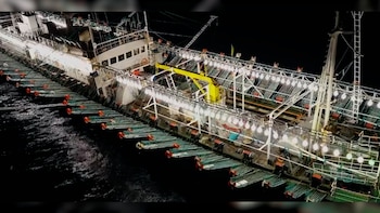 Pesca del calamar en Milla 201
