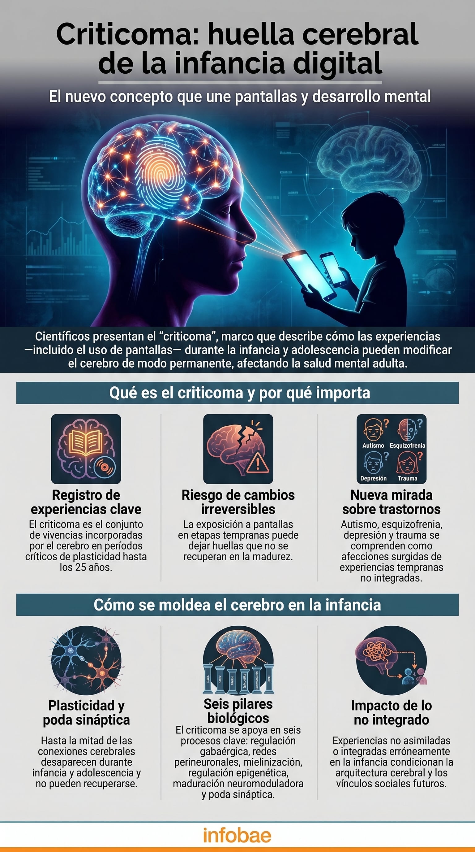 La infografía ilustra el concepto de criticoma, mostrando cómo la exposición a pantallas en la infancia puede dejar una huella irreversible en el desarrollo cerebral y la salud mental adulta. (Imagen Ilustrativa Infobae)
