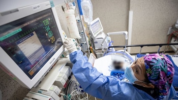 El proceso de un trasplante exitoso involucra una cadena de acciones que abarca desde la voluntad de donar hasta la implantación del órgano en el receptor - Créditos: Essalud.