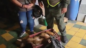 Restaurante de comida china en