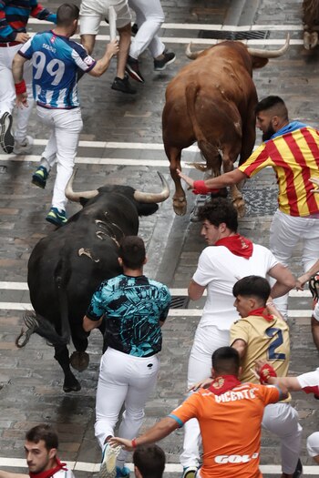 Los toros de la ganadería