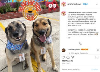 El restaurante "Rancheros del Sur"