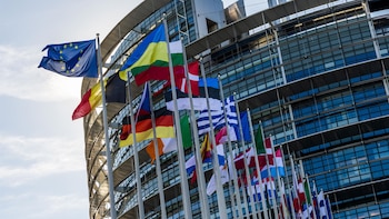 La Eurocámara pide estudiar la inclusión de Hermanos Musulmanes en la lista de organizaciones terroristas de la UE