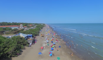 Pehuen Có resguarda huellas fósiles