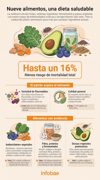 Infografía con ilustraciones de palta, arándanos, cúrcuma, espinaca, frasco de kimchi, semillas y cuadros con datos sobre nutrición.