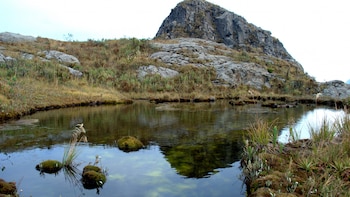 Atención viajeros: estas zonas de