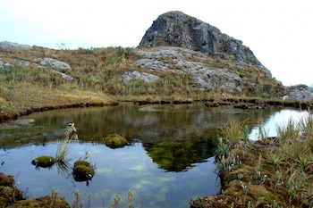 Parques como Tayrona, Los Nevados,