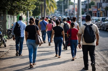 Imagen de personas caminando por una acera de espaldas. La calle tiene coches estacionados y edificios. Al fondo, se aprecian palmeras y vegetación.