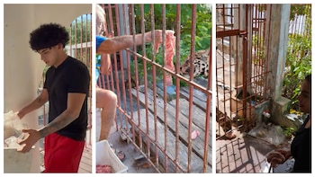 Reaparece Pepe Tigre en Cancún: deja a influencers alimentar a un jaguar y les permite entrar a su restaurante abandonado