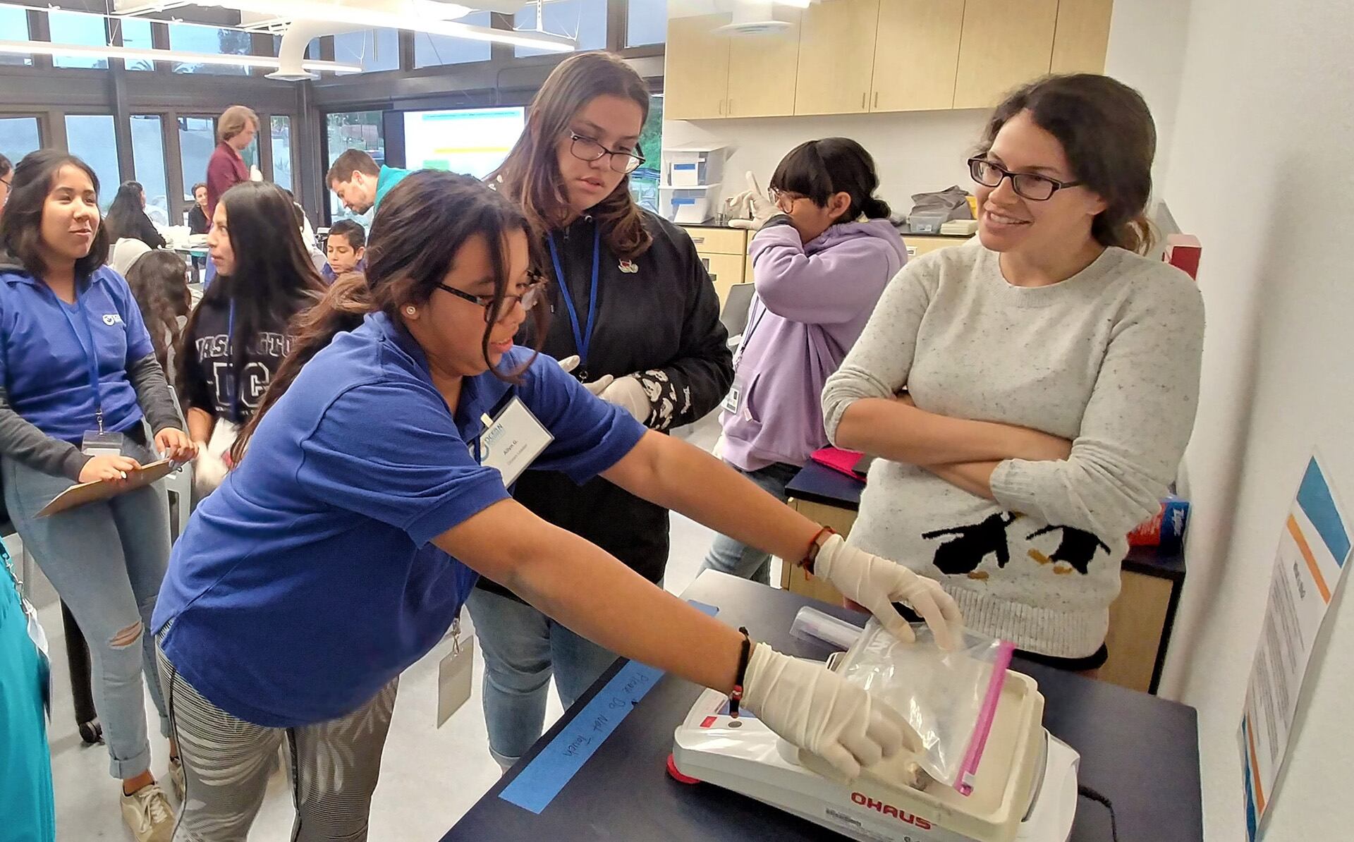 Los resultados muestran que la densidad energética de las presas varía según el ambiente, la época del año y la biología individual (Ocean Discovery Institute)