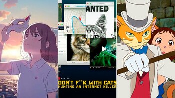 Portada producciones con gatos