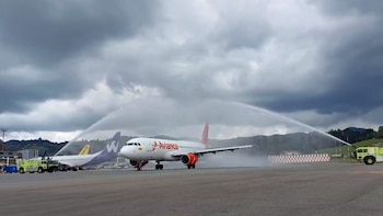 Attention! They reopened the José