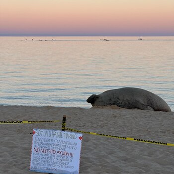 Locales se unieron para ayudar