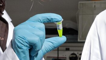 Presentaron un revolucionario enfoque para