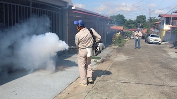 Panamá registra 7,565 casos acumulados de dengue y baja las hospitalizaciones en 14.5%