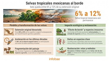Infografía con título. Imagen de selva verde, área deforestada, incendios, campos de cultivo con ganado. Dos columnas con texto, íconos y datos.